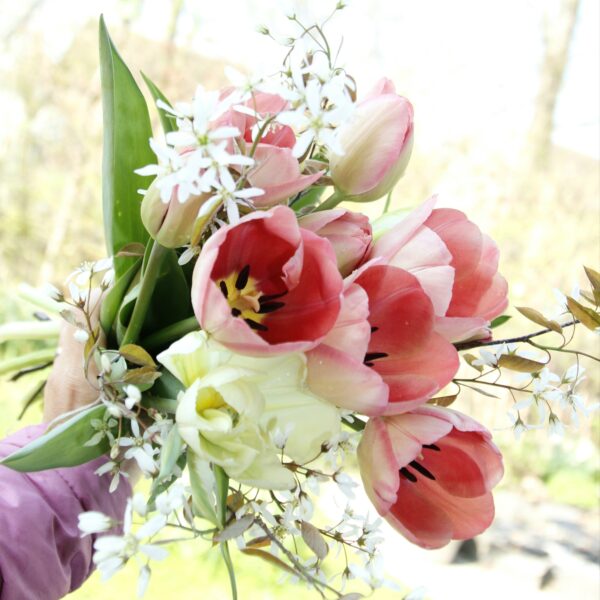Blumenbunde und Mini-Sträusse