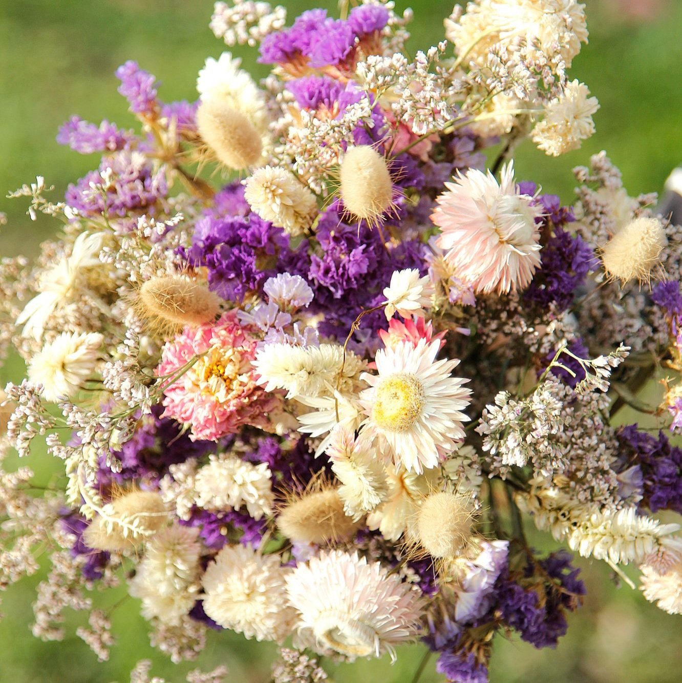 Trockenblumen zum selber Gestalten – Bild 4