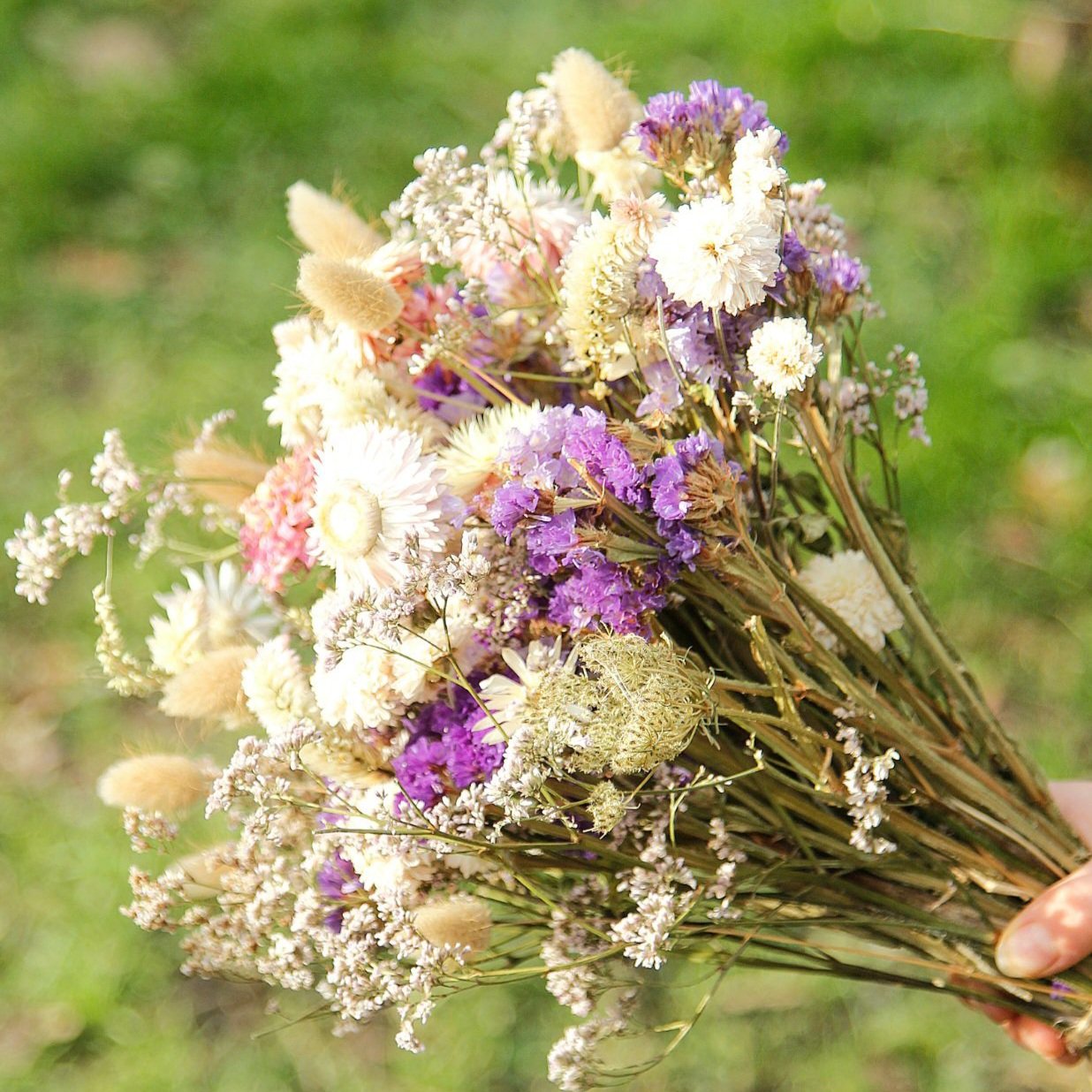 Trockenblumenstrauss – Bild 10