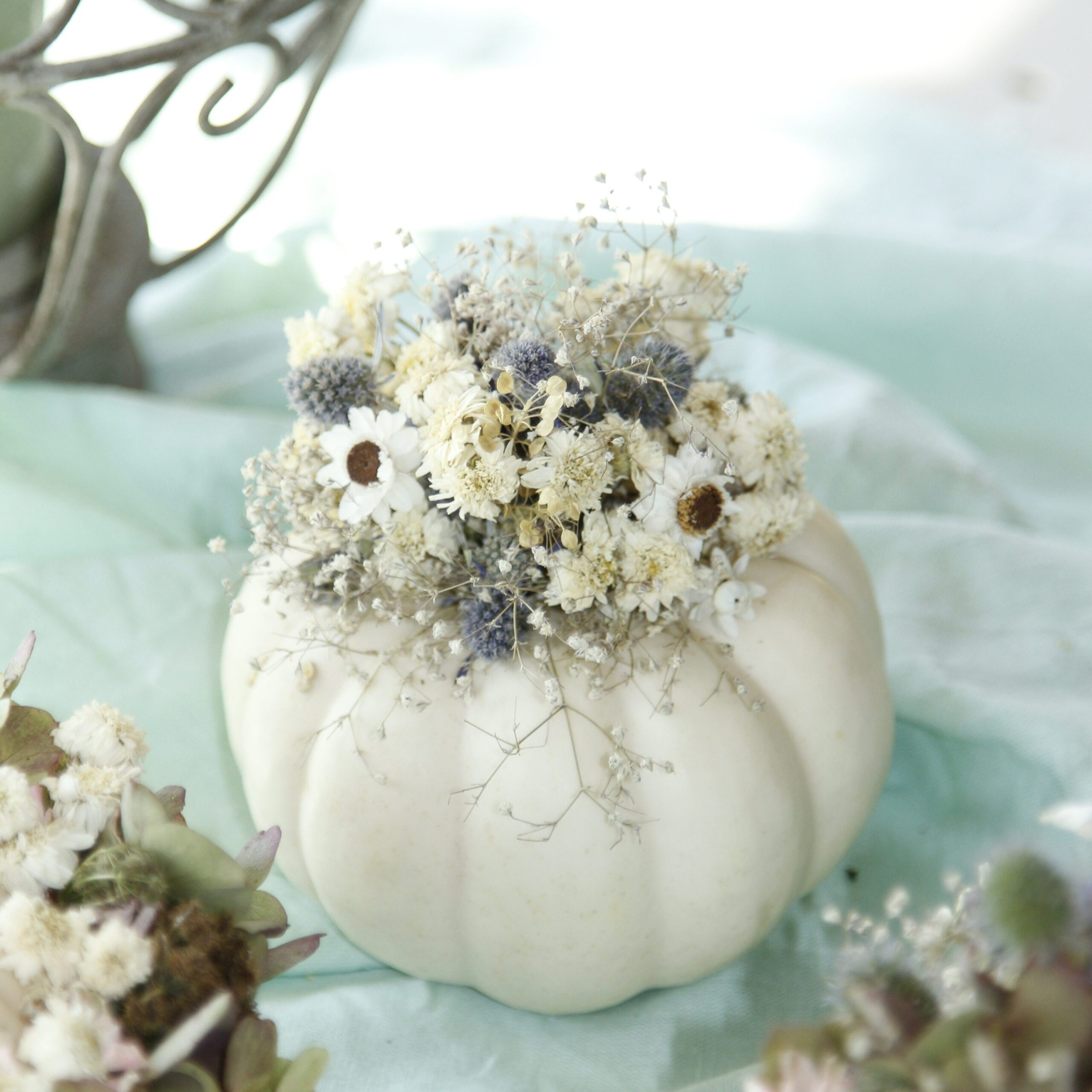essbarer Dekokürbis mit Trockenblumen